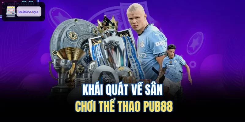 Khái quát về sân chơi thể thao VIN88