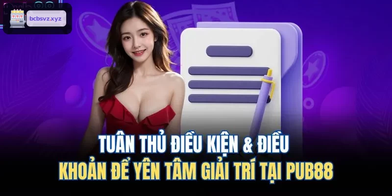 Tuân thủ điều kiện & điều khoản để yên tâm giải trí tại VIN88